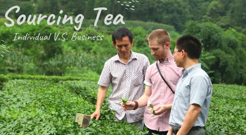 how to source tea from china Supplier Identification & Vetting – The ESG Deep Dive