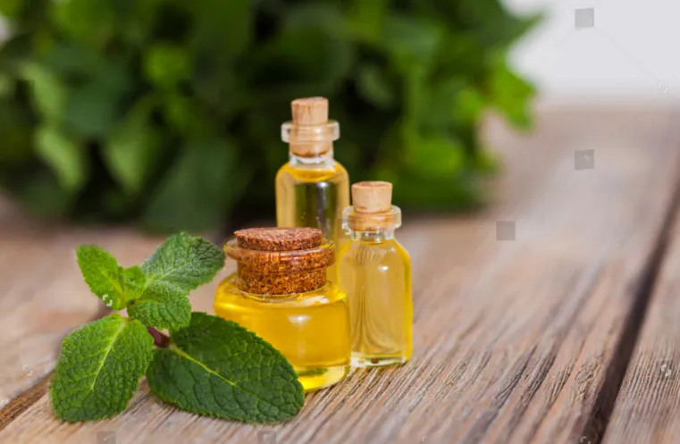 how to source essentialoils from china Compliance & Quality Assurance